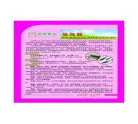 濱州宏華牧業科技總部 高效乳化油，革新畜牧業營養管理